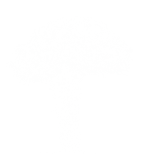 Árbol con rostros